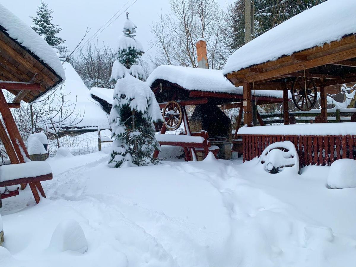 Pensiunea Anotimpuri Bran Guest house