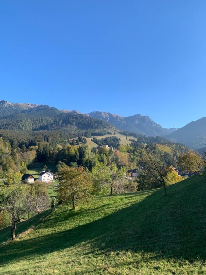 Pensiunea Anotimpuri By Casa Sandu * Bran (Brasov)