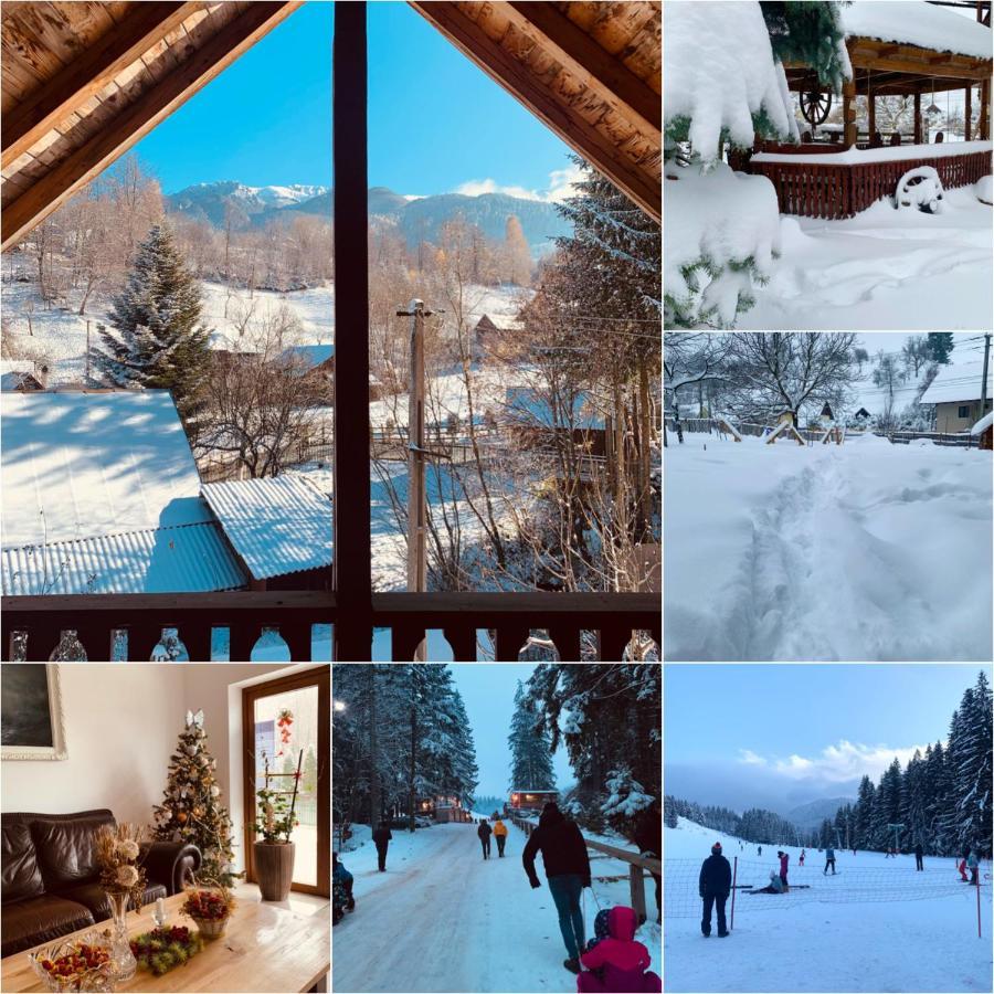 Guest house Pensiunea Anotimpuri Bran