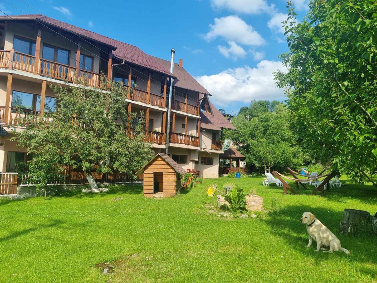 Guest house Pensiunea Anotimpuri Bran Bran (Brasov)